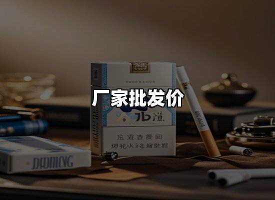 专业优势